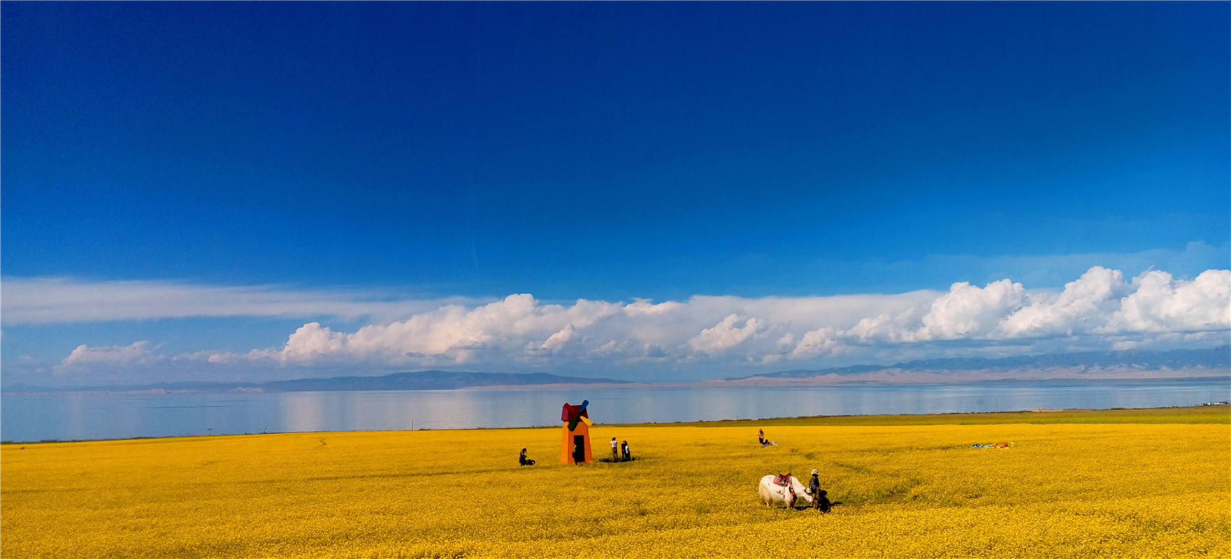 《大美青?！穭㈤?/>
                                    <div   id=